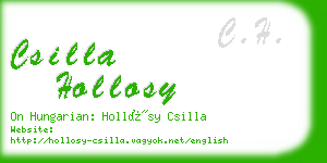 csilla hollosy business card